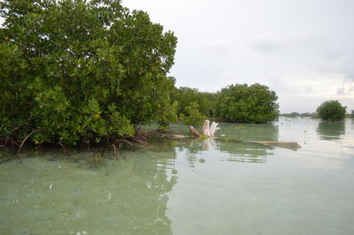 Scenic view of lake against sky