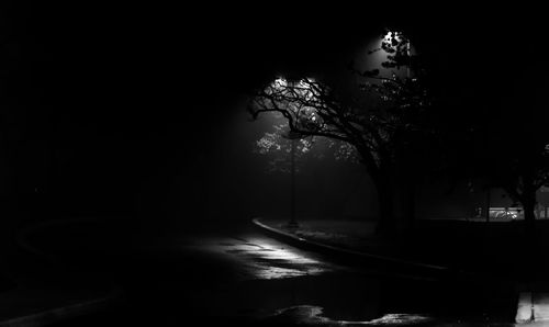 Silhouette trees against sky at night