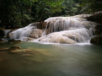 Scenic view of waterfall in forest