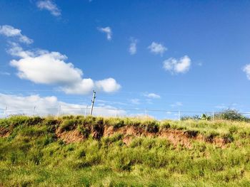 Scenic view of field against blue sky