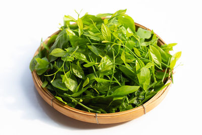 High angle view of green leaves against white background