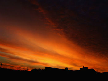 Silhouette of trees against dramatic sky