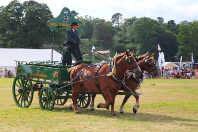 Horse cart