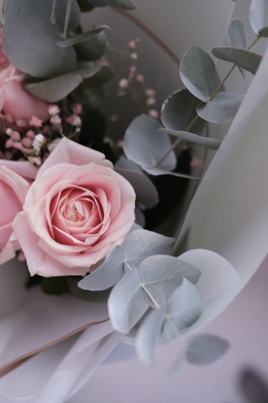 HIGH ANGLE VIEW OF ROSES IN BOUQUET