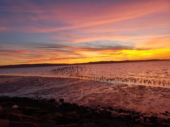 Scenic view of beach against sky during sunset