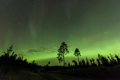 Aurora over night sky