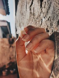 The sunlight shining on the hand holding the little white flower 