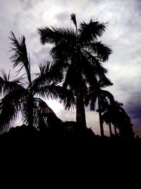 Low angle view of silhouette palm trees against sky