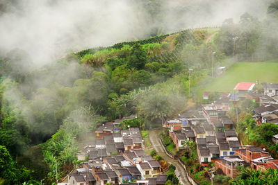 High angle view of trees and buildings in city