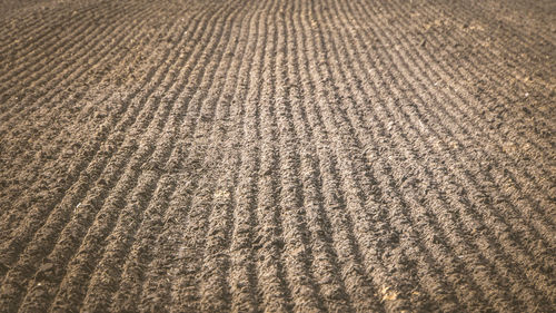 Full frame shot of tiled floor