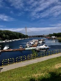 Sailboats moored in marina