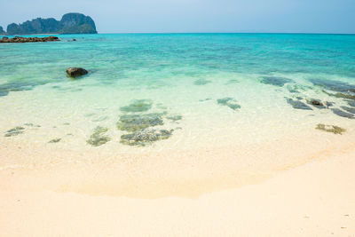 Scenic view of sea against clear sky