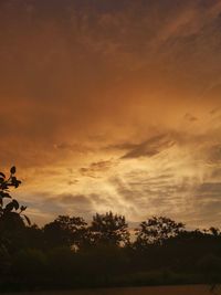 Silhouette trees on field against sky at sunset