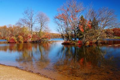 Scenic view of lake against clear sky