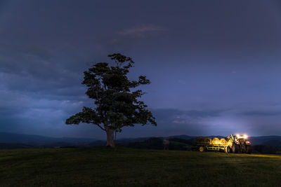 Tree on field against sky at night