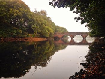 Reflection of trees in river