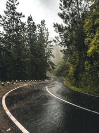 Road amidst trees