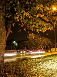 Illuminated road at night