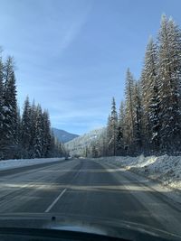 Road amidst trees seen through car windshield