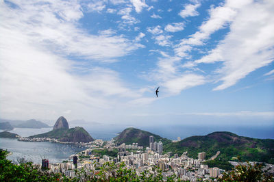 Bird flying over cityscape at rio de janeiro against sky