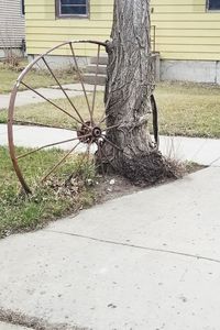 Bicycle parked by tree on field