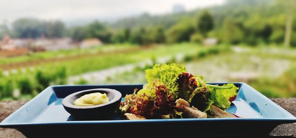 Food served on table in field