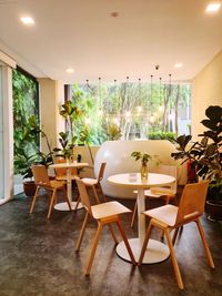 Empty chairs and tables and table and chair and potted plant on floor