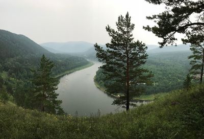 Scenic view of lake by trees against sky