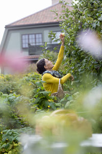 Mature woman picking apples, stockholm, sweden