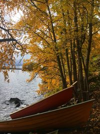 Close-up of tree by lake during autumn