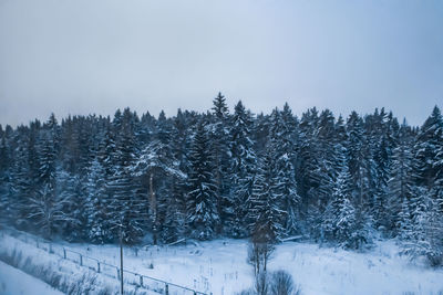 Trees on snow covered field against sky