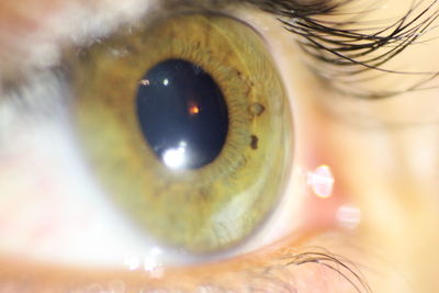 Extreme close up of human eye