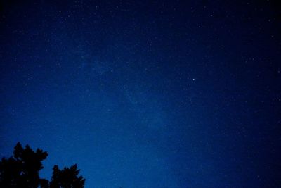 Low angle view of trees against blue sky at night