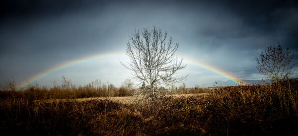Scenic view of rainbow over landscape against sky