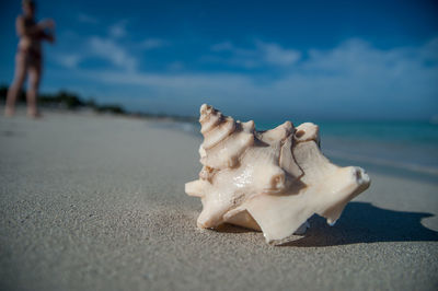 sea