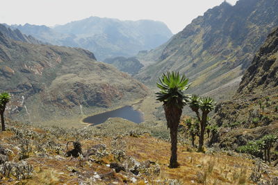 Scenic view of landscape and mountains