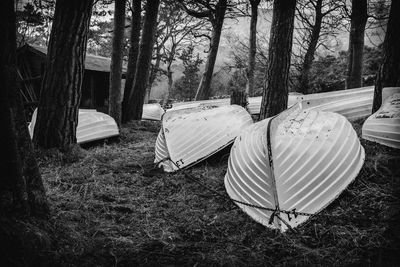 Tent on field by trees in forest