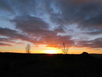 Scenic view of silhouette trees against sky during sunset