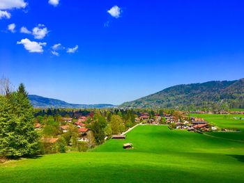 Scenic view of landscape against blue sky