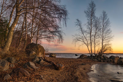 Bare trees by sea against sky during sunset