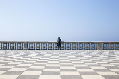 Rear view of man leaning on railing against clear sky