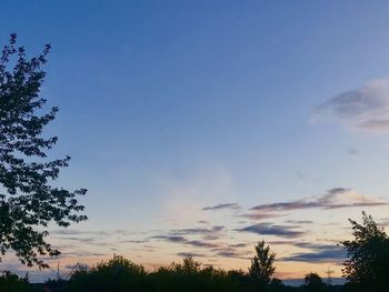 Low angle view of silhouette trees against sky at sunset