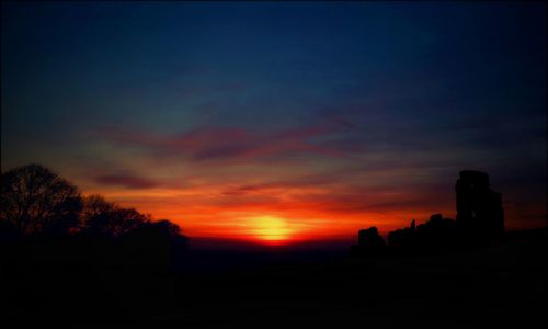 Silhouette of trees at sunset