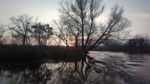 Trees by lake against sky during sunset