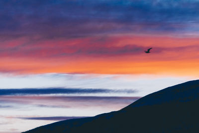 Silhouette of birds flying in sky during sunset