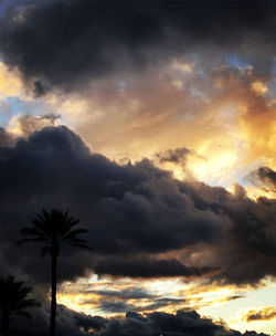 Low angle view of silhouette palm trees against dramatic sky