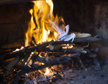 Close-up of bonfire on log at night