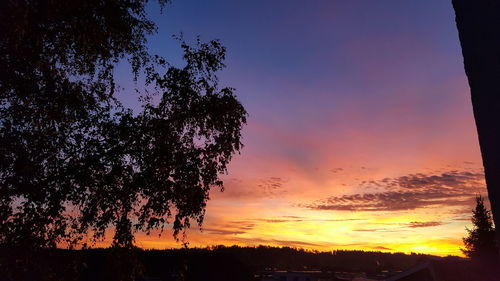 Silhouette trees against sky during sunset