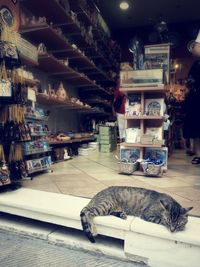 Close-up of objects on the wall