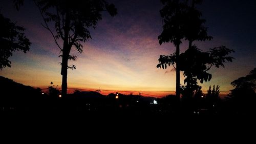 Silhouette trees against sky at sunset